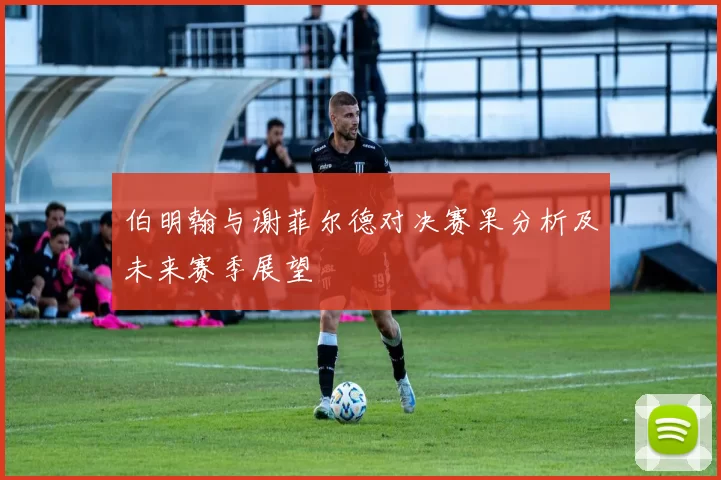 伯明翰与谢菲尔德对决赛果分析及未来赛季展望