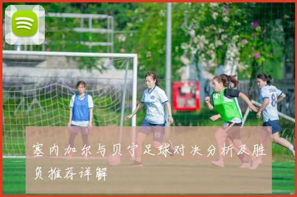 塞内加尔与贝宁足球对决分析及胜负推荐详解