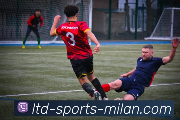 米兰体育官网平台生态图